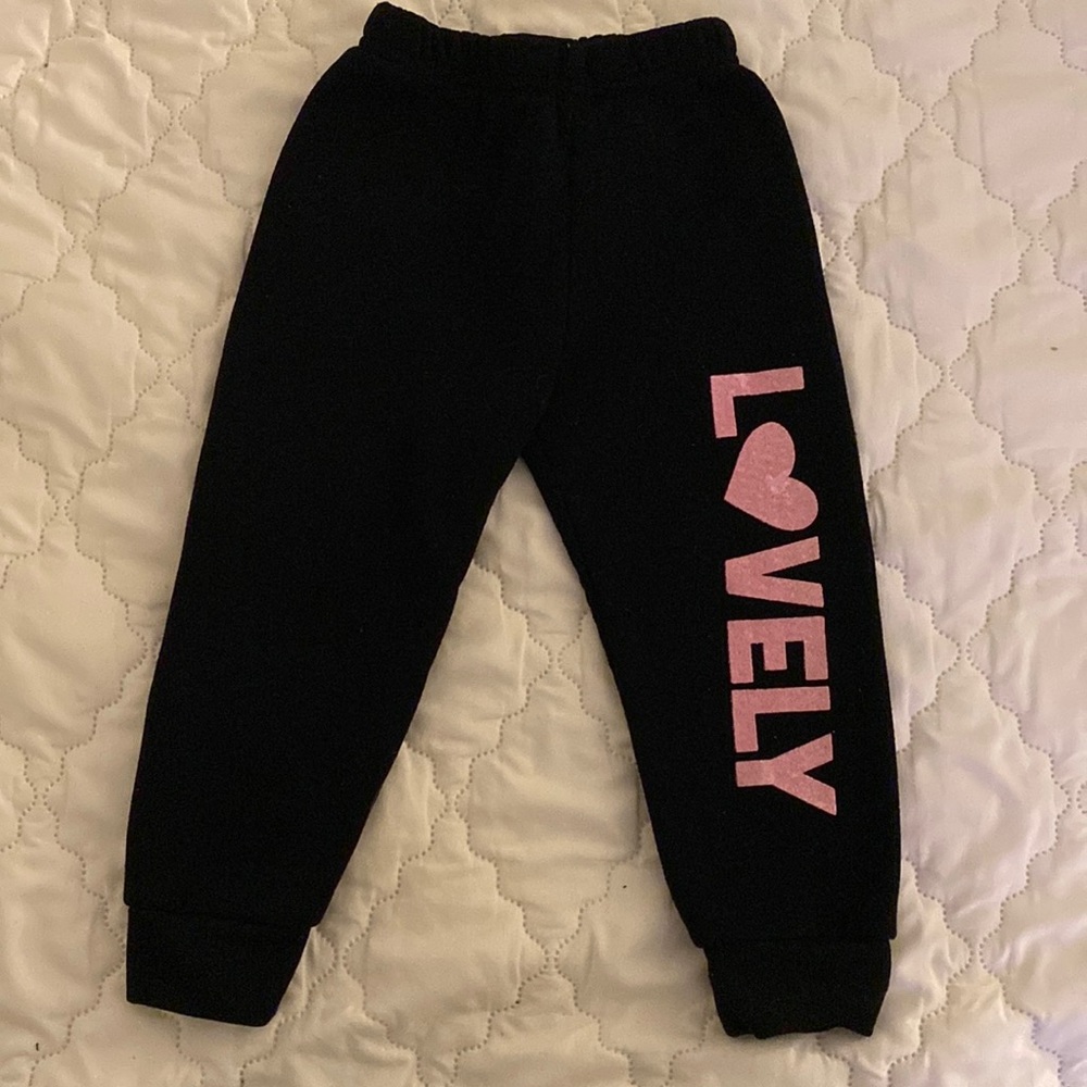 Toddler sweat pants 2T